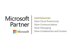 Microsoft Partner Logo