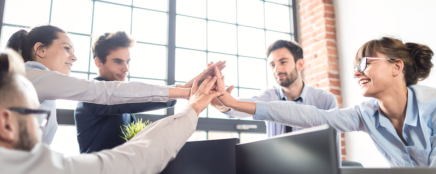 Professionelle IT Dienstleistungen PROFI Engineering Systems AG
