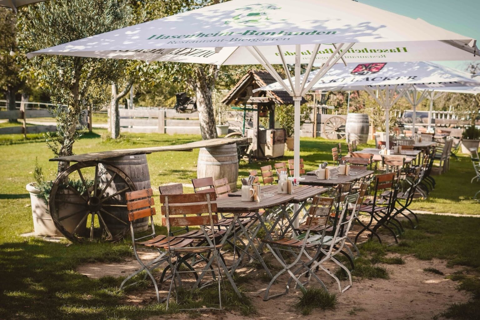 biergarten-1536×1024